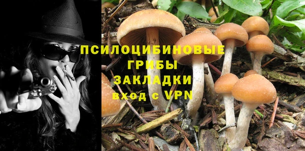 бутират Алексин