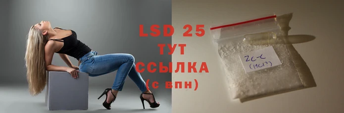 стаф Алзамай