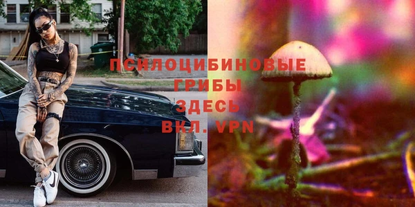 бутират Алексин