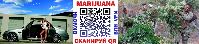 где купить наркоту  Оленегорск  blacksprut как войти  Каннабис сатива 